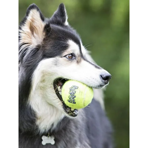 3 Balles de tennis Kong SqueakAir pour chien