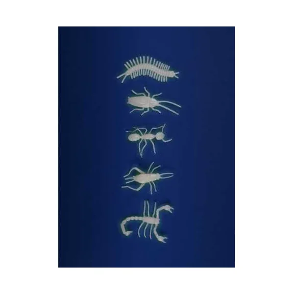 5 insectes phosphorescents - Moulin Roty