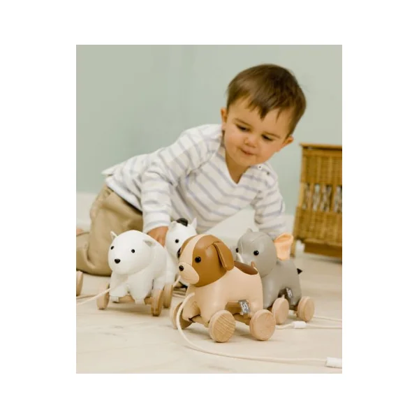 Adrien le chien à tirer - Little Big Friends