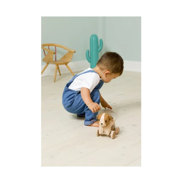 Adrien le chien à tirer - Little Big Friends