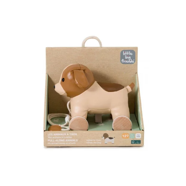 Adrien le chien à tirer - Little Big Friends