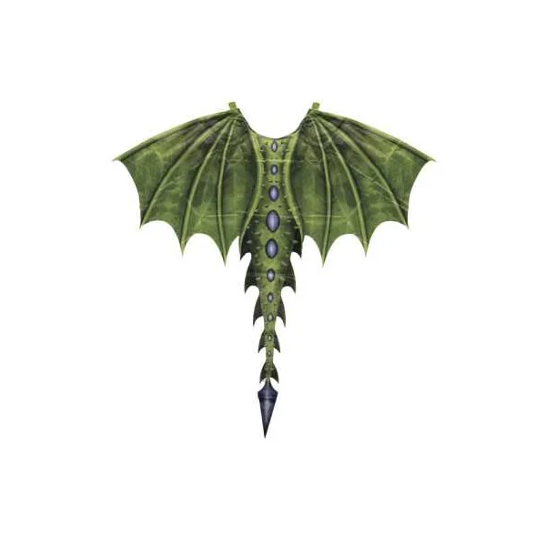 Ailes de dragon vertes 4-6 ans - Great Pretenders