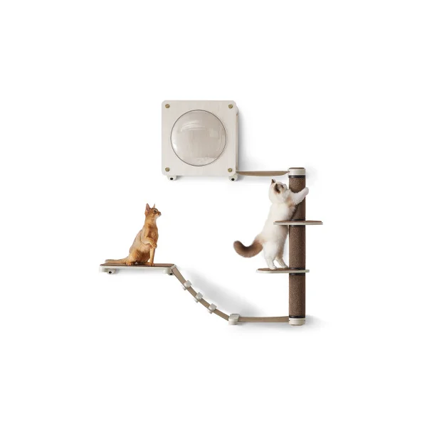 Arbre Chat Mural Ensemble de 5 Meubles Chat Muraux Escalier Étagère Suspendue Hamac Poteau à Griffe Niche