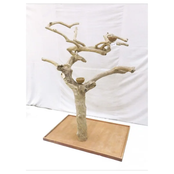 Arbre Java grand Ara Rouge