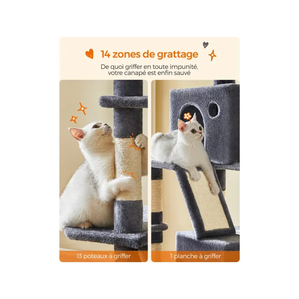 Arbre à Chat Multi-Niveaux 206 cm Tour de Jeu Chaton Gris
