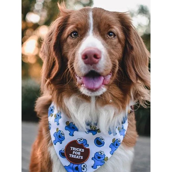 Badge thermocollant Tricks for Treats - Scout's Honour