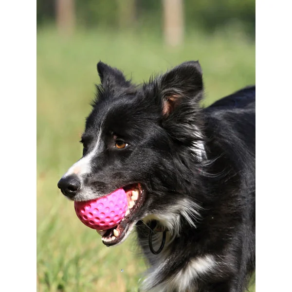 Balle pour chien en mousse haute densité - Bleu