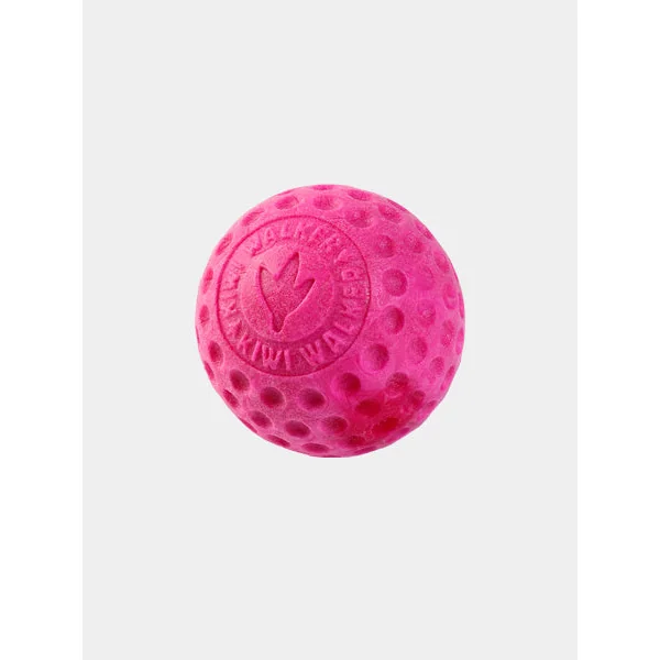 Balle pour chien en mousse haute densité - Rose