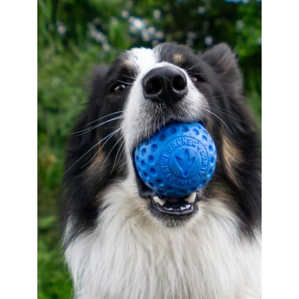 Balle pour chien en mousse haute densité - Rose