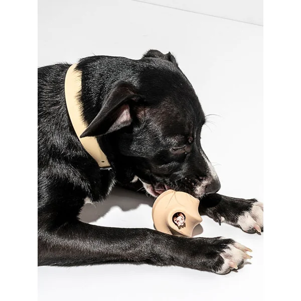 Balle Twist Toss pour chien - Beige - Wild One