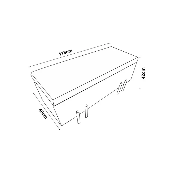 Banc de Rangement 118 x 40 x 42 cm Gris Banc d'Entrée Coffre Rangement