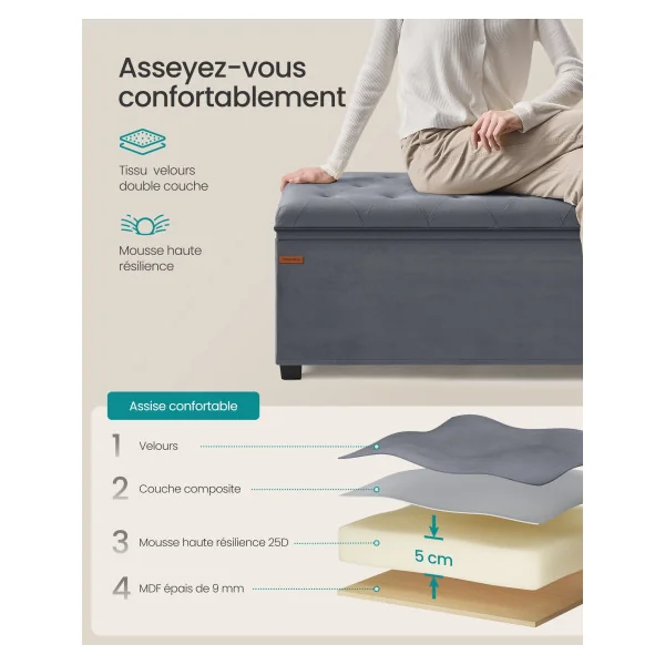 Banc de Rangement Gris Coffre de Rangement Charge jusqu'à 300 kg Bout de Lit Chambre
