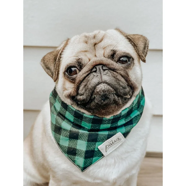 Bandana pour chien - Motif Bourbon - The Paws