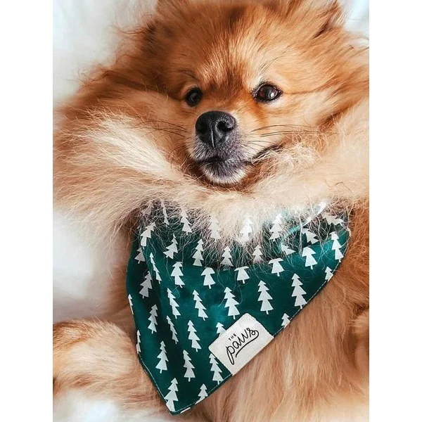 Bandana pour chien - Motif Forest Sapin - The Paws