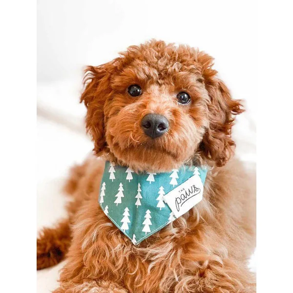 Bandana pour chien - Motif Forest Sapin - The Paws