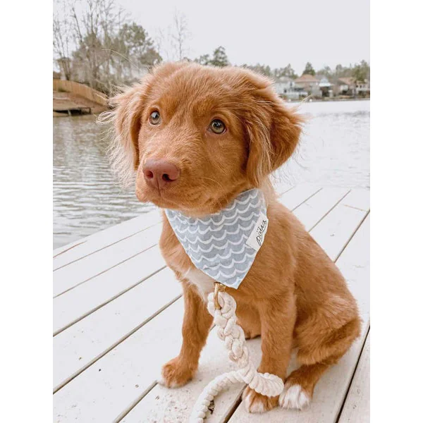 Bandana pour chien - Motif Vague - The Paws
