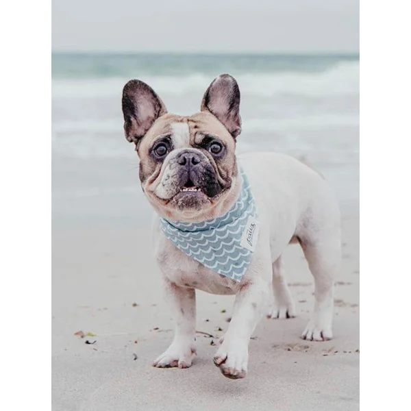Bandana pour chien - Motif Vague - The Paws