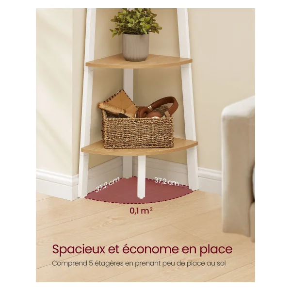 Bibliothèque 5 Niveaux Étagère d'Angle 5 Niveaux Chêne et Blanc Étagère Échelle