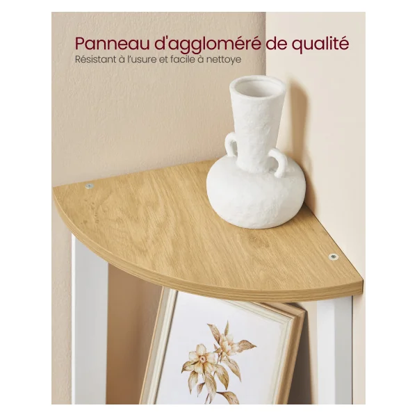 Bibliothèque 5 Niveaux Étagère d'Angle 5 Niveaux Chêne et Blanc Étagère Échelle