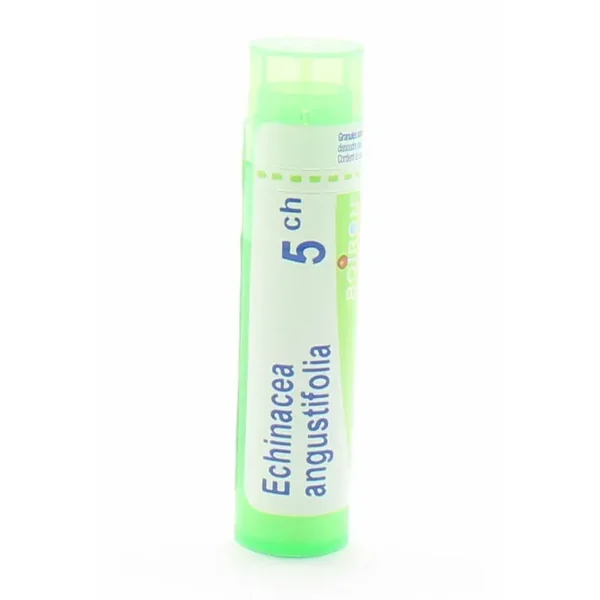 Boiron Echinacea Angustifolia 5ch tube granules