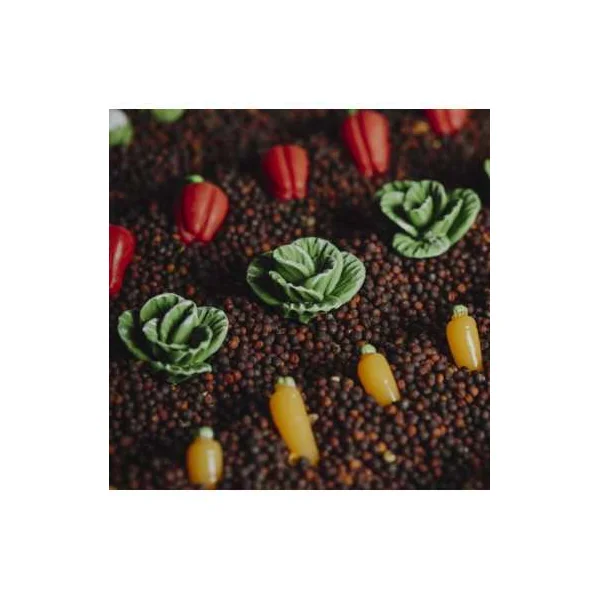 Bouteille sensorielle légumes - Petit Boum