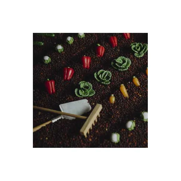 Bouteille sensorielle légumes - Petit Boum