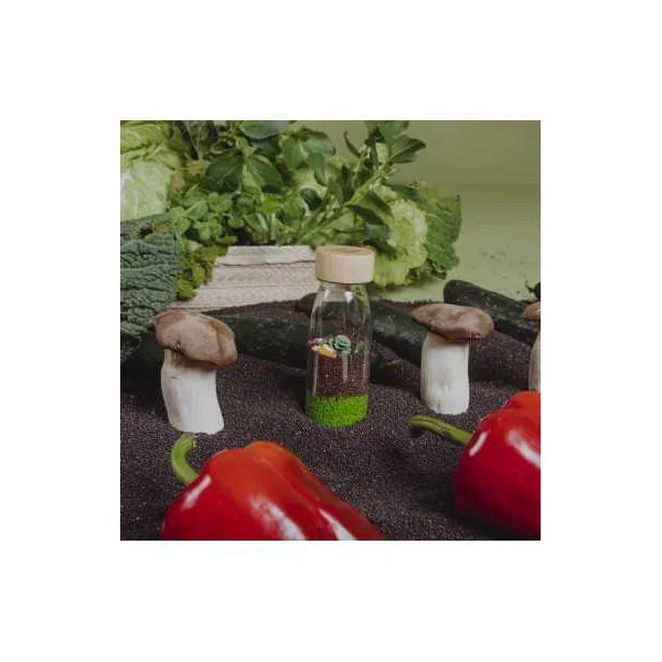 Bouteille sensorielle légumes - Petit Boum