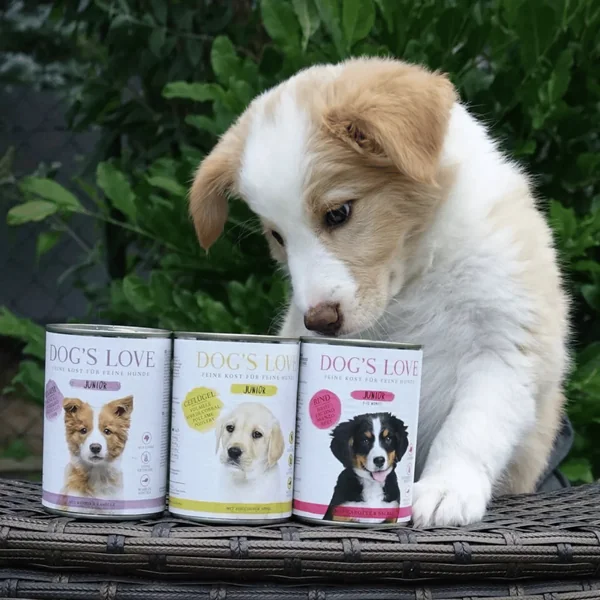 Boîte Chiot – Dog's Love Junior Bœuf, Carottes & Sauge 400 gr