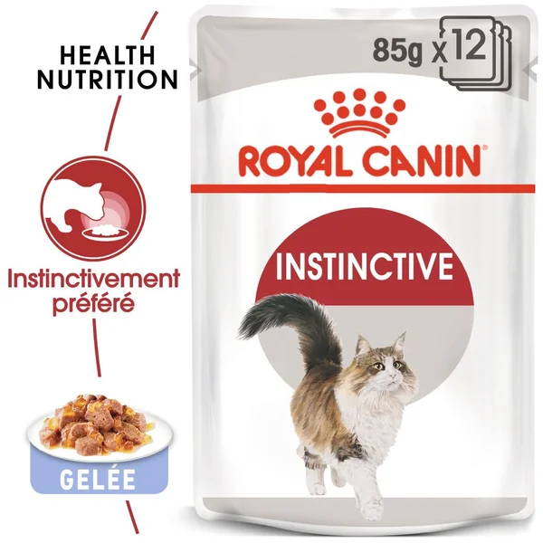 Boîtes Chat – Royal Canin Sachet Gelée Instinctive – 12 x 85 g