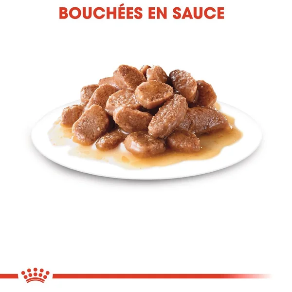 Boîtes Chat – Royal Canin Sachet Sauce Instinctive – 12 x 85 g