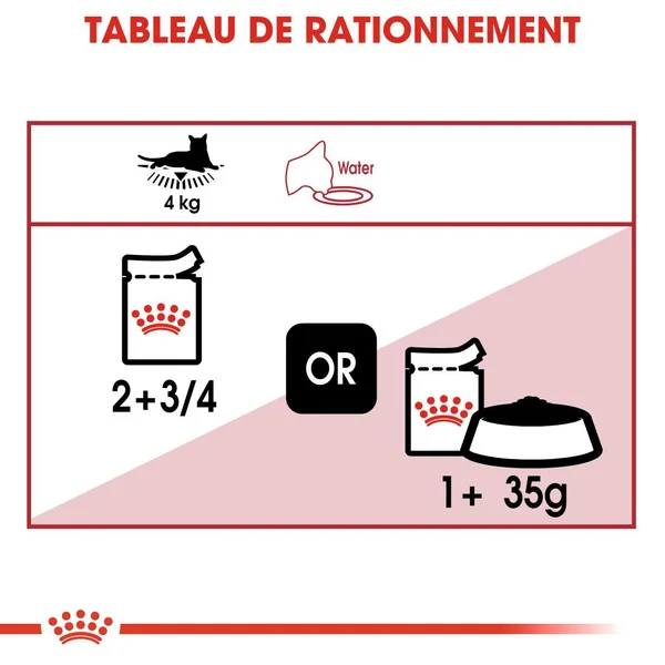 Boîtes Chat – Royal Canin Sachet Sauce Instinctive – 12 x 85 g