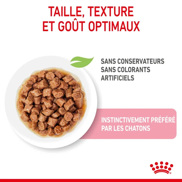Boîtes Chat – Royal Canin Sachet Sauce Kitten Sterilised - 12 x 85 g