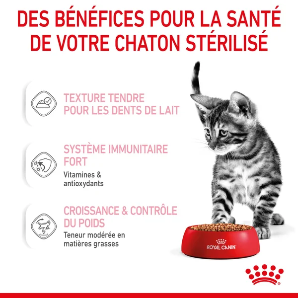 Boîtes Chat – Royal Canin Sachet Sauce Kitten Sterilised - 12 x 85 g