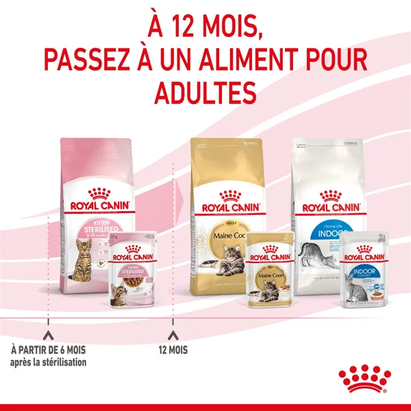 Boîtes Chat – Royal Canin Sachet Sauce Kitten Sterilised - 12 x 85 g