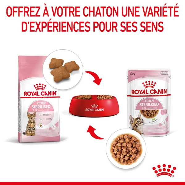 Boîtes Chat – Royal Canin Sachet Sauce Kitten Sterilised - 12 x 85 g