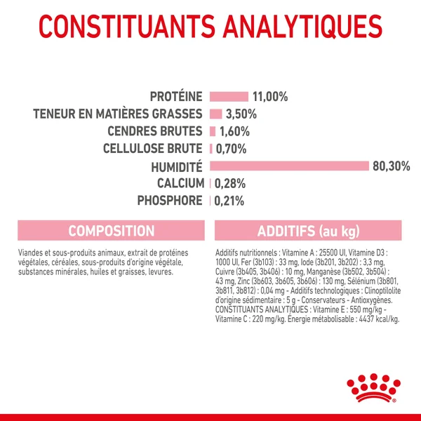 Boîtes Chat – Royal Canin Sachet Sauce Kitten Sterilised - 12 x 85 g