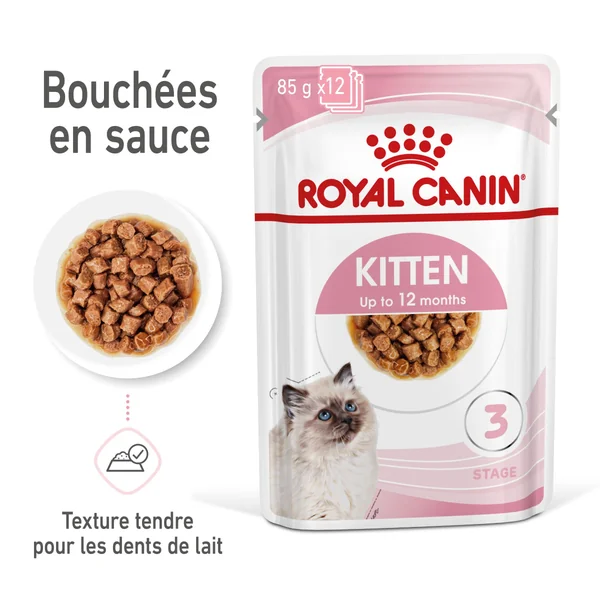 Boîtes Chat - Royal Canin Sachet Sauce Pack Chaton – 12 x 85 g
