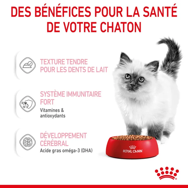 Boîtes Chat - Royal Canin Sachet Sauce Pack Chaton – 12 x 85 g