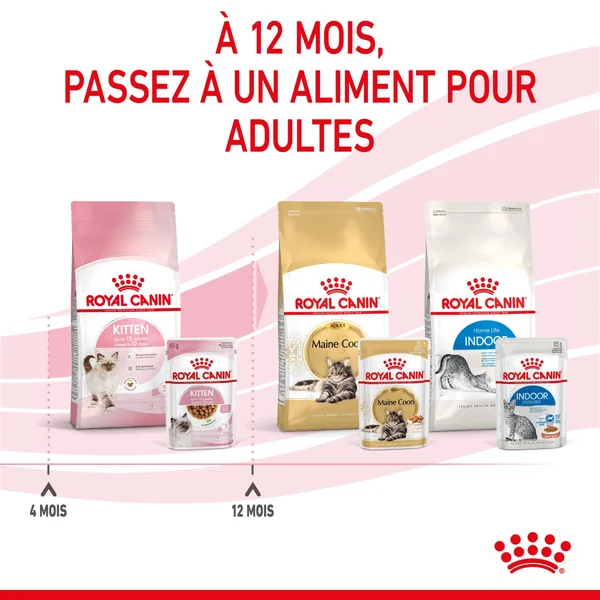 Boîtes Chat - Royal Canin Sachet Sauce Pack Chaton – 12 x 85 g