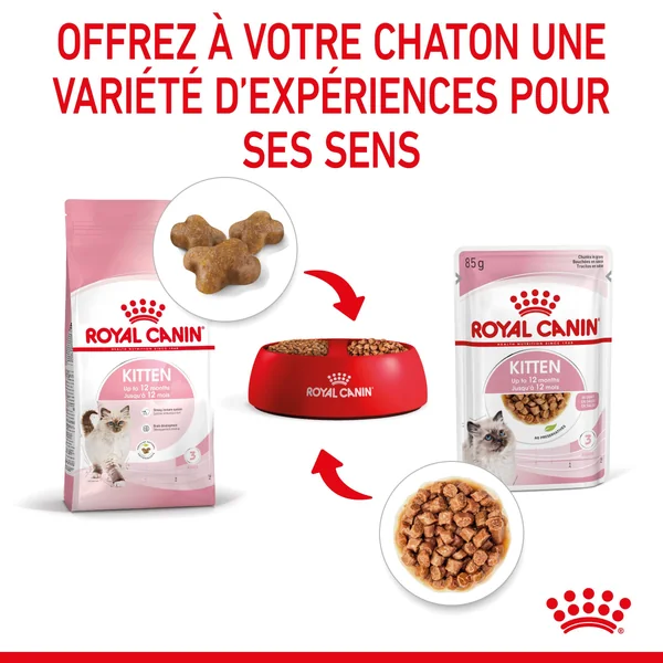 Boîtes Chat - Royal Canin Sachet Sauce Pack Chaton – 12 x 85 g