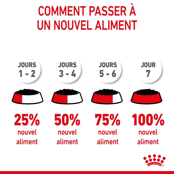 Boîtes Chat - Royal Canin Sachet Sauce Pack Chaton – 12 x 85 g