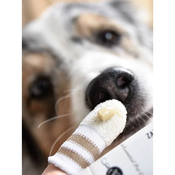 Brosse à dent pour chien et chat