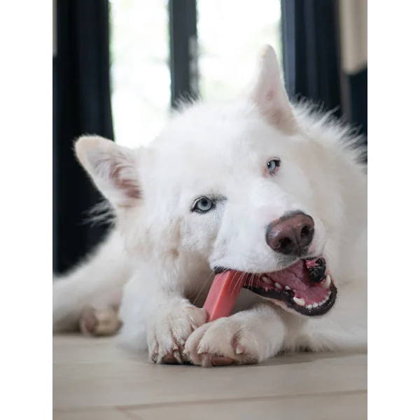 Bâtons de Fromage de Yak à mâcher à la fraise🍓 pour chien - Taille M