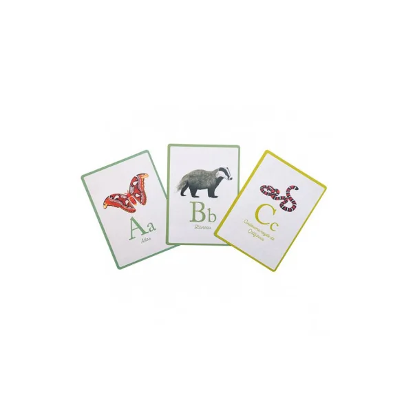 Cartes Abécédaire Tout autour du monde - Moulin Roty