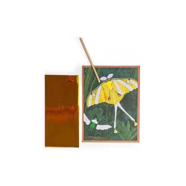 Cartes fantastiques Tout autour du monde - Moulin Roty
