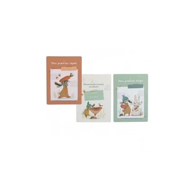 Cartes Mes 12 premiers mois Trois Petits Lapins - Moulin Roty
