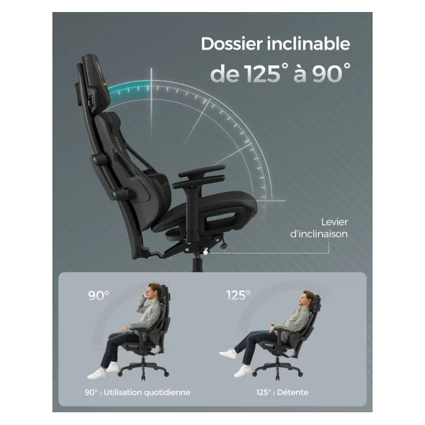 Chaise de Bureau Gamer Fauteuil Gaming Réglable Dossier Inclinable Noir