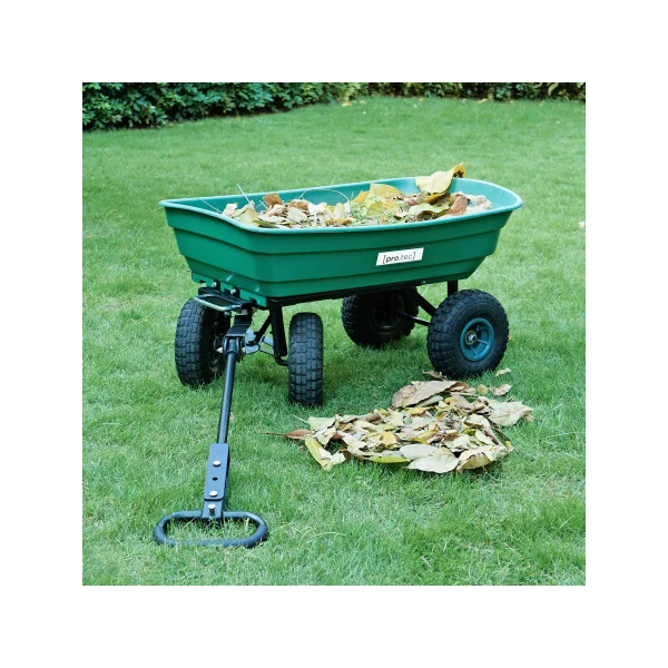 Chariot de Jardin Benne Basculante 250 kg Vert