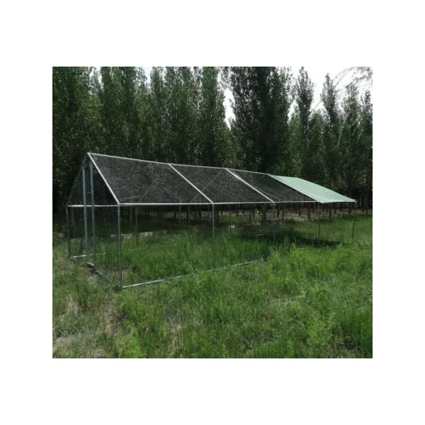 Chatière 10x4x2,80m enclos chat 40m² tube 38 mm