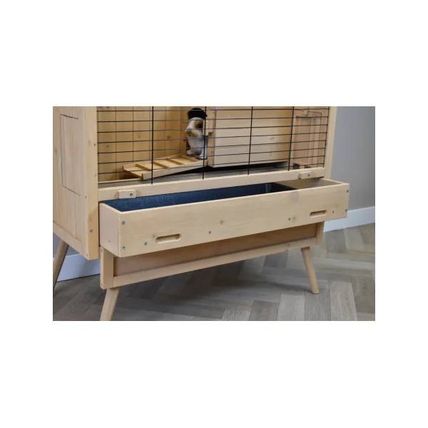 Clapier Rongeur Pin Massif Cage Cochon d'Inde Cage Lapin Style Scandi